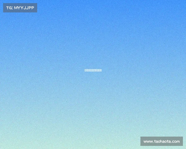 今天拳击赛事新闻发布会