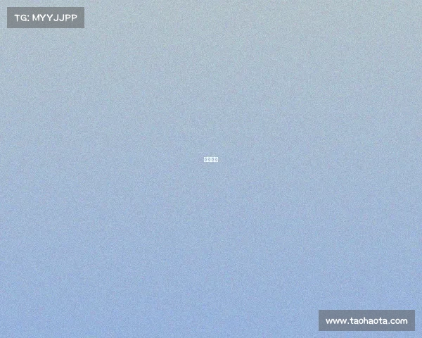 拳击竞赛 拳击竞赛