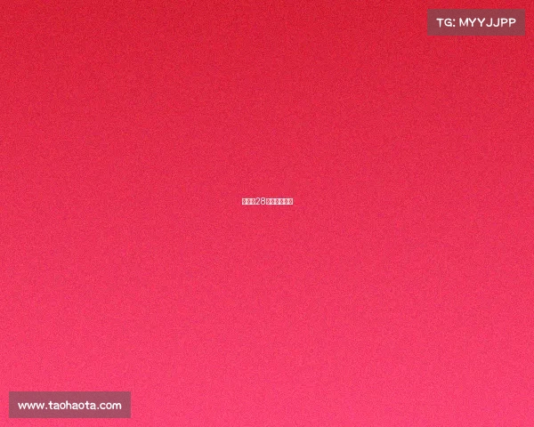 全运会28日赛事有哪些